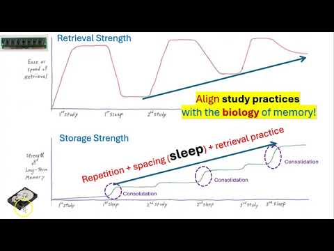 Building strong memories takes work... and wisdom