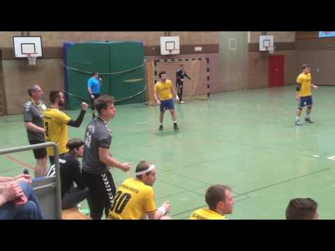 Handball-Landesliga
