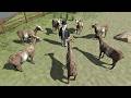 Sodor Retold Baa