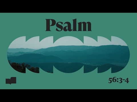 Verses - Psalm 56:3-4 (Official Lyric Video)