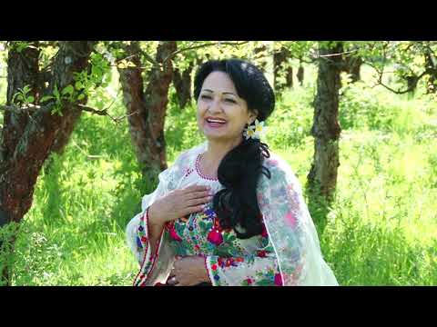 Angelica STĂNESCU  -  Amintirile mă poartă - (cover - Ana Barbu)