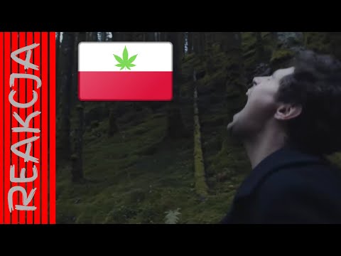 Filipek x PSR --- Kochałem tylko raz            REAKCJA