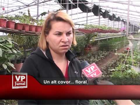 Un alt covor… floral