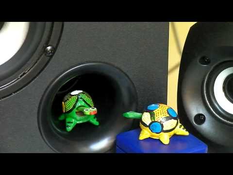 Dancing Wood Turtles (The Ufo - BreakNoise)