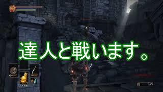【テスト】何も起こらな過ぎて逆に安心するダークソウル3【ずんだもん】