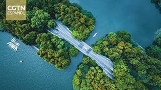 Las llegadas de extranjeros a Hangzhou alcanzan las 270.000 este año