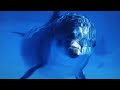 Tamba 4:  (EÇA) "Dolphin"  (1967)