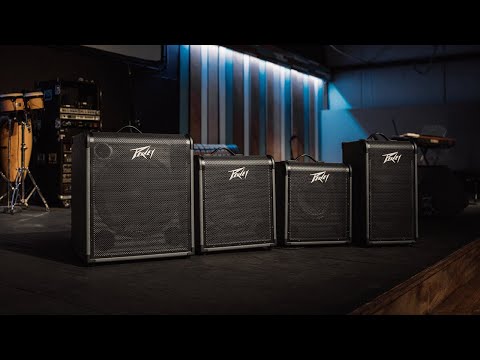 Обзор комбоусилителя Peavey Max 300