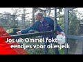 Jos fokt witte eendjes voor oliesjeiks uit Dubai