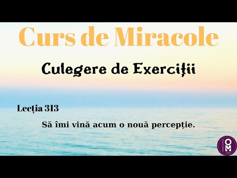 Curs de Miracole - Lecția 313