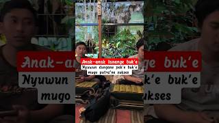 Download lagu Pandungane pak’e buk’e #anaklanang #pakebuke #anaklayangan #campursari mp3 Download lagu Pandungane pak’e buk’e #anaklanang #pakebuke #anaklayangan #campursari mp3