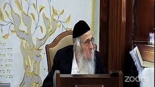 הגה"ח הרב וועכטר שליט"א י"א תשרי תשפ"ד - ליקוטי תורה ד"ה ביום השמיני חלק ג (הרב אברהם מנחם מענדל וכטר) - התמונה מוצגת ישירות מתוך אתר האינטרנט יוטיוב. זכויות היוצרים בתמונה שייכות ליוצרה. קישור קרדיט למקור התוכן נמצא בתוך דף הסרטון