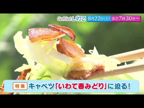 Go!Go!いわて8/22(土) #260