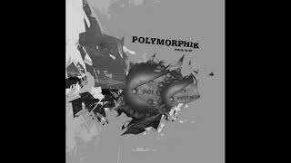 Various Artists - Polymorphik Piece III/III (2005)