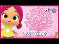 Que Tipo De Bola é Essa Querubim Toy