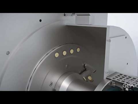 Gea Rod Cut Snack Processing