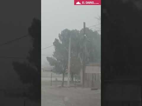 Nieve en Puelches: ¡calles blancas!