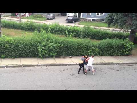 Lawrence.Ma girls fight in front of the kid and right a cross the street from my house