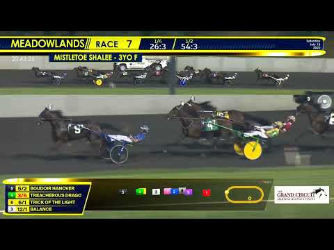 July 16, 2022 - Mistletoe Shalee