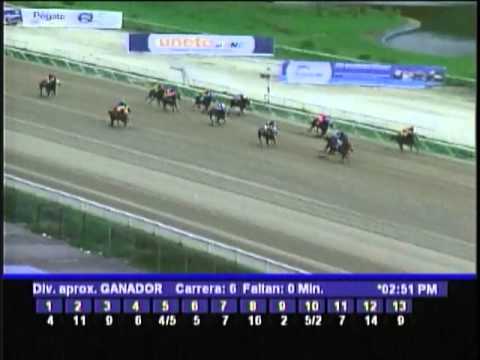 Resumen La Rinconada - domingo 11 de noviembre de 2012