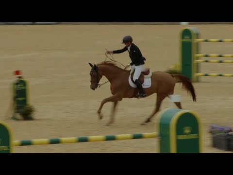 Victor Bettendorf & Qwando van de Rispen win the Rolex Grand Prix | Royal Windsor Horse Show