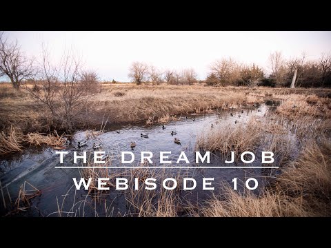Kansas Creek Mallards | The Dream Job: Webisode 10