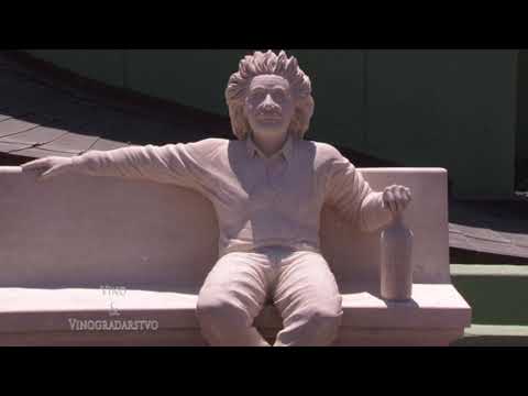 Vinarija Banfi - Vino i vinogradarstvo