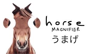 フリゲ〘馬ゲー〙虫メガネで馬をキモくする呪われたゲーム『horse magnifier』#horsemagnifer  @msBean ​