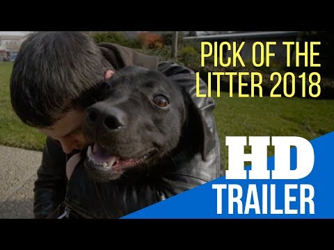 PICK OF THE LITTER 2018 MOVIE TRAILER