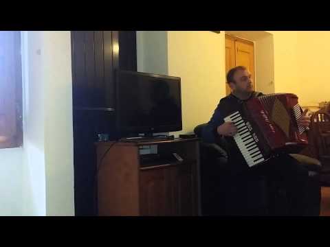 Horă. .acordeon dino baffetti
