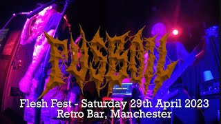 Pusboil - Flesh Fest Full Multi Angle 4K Set