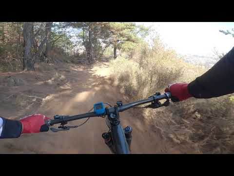 Los Perros / Reñaca / La Antena