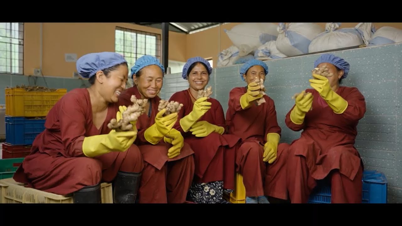 Reviving Ginger Farming in Palpa!