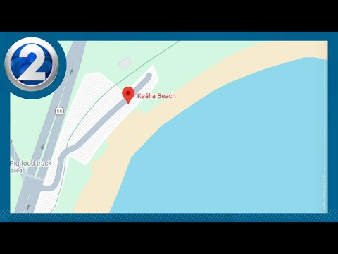 Shark sighting off Kaua'i shoreline; warning issued