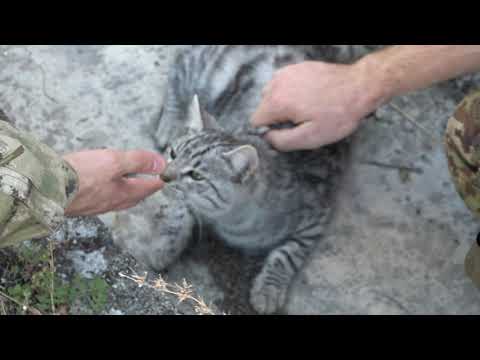 HO PROVATO L'XTAG (Laser tag milsim) REALISMO PAZZESCO.