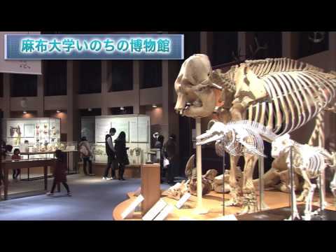 麻布大学　ミニ・オープンキャンパス　2016年・春