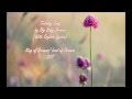King of Dramas - Tuesday Song OST (With ...