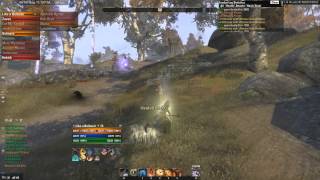 Vehemence Guild Gameplay