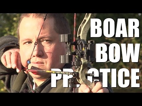 Boar Bow Practice Boar Bow Practice