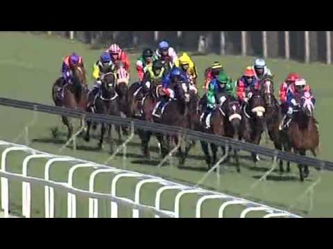 2015.05.30 Lonsdale Stirrup Cup (RSA) - Solid Speed