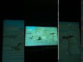 Pingu Wants To Fly The Seagull Surprises Robby