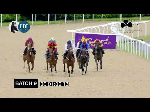 Irish EBF Barrier Trials 5 July 2022 - Batch 09