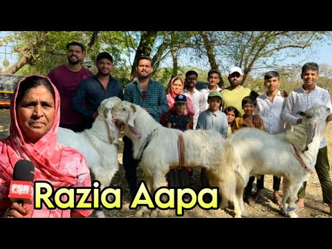 Razia Aapa Ke Top Class Kota & Hansa Bakre in Pune, Maharashtra