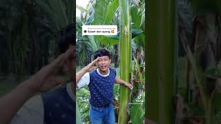 Download lagu viral... paris pernandes salam dari binjai mp3