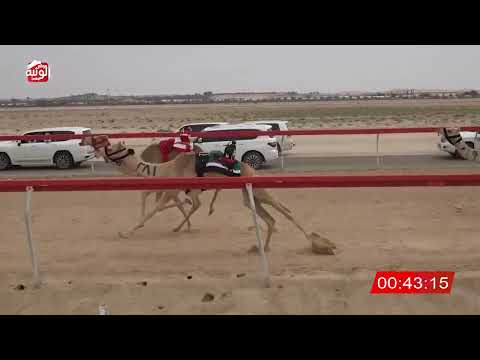  ش 2 (متباهي) لـ حياب بن حمد الجحافي 2:04 , شارة الصندوق 2026/04/04 فطامين سويحان