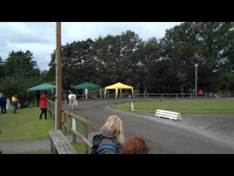 DJIM 2011 Kronshof - Svenja & Jaki T2 - www.isibless.de