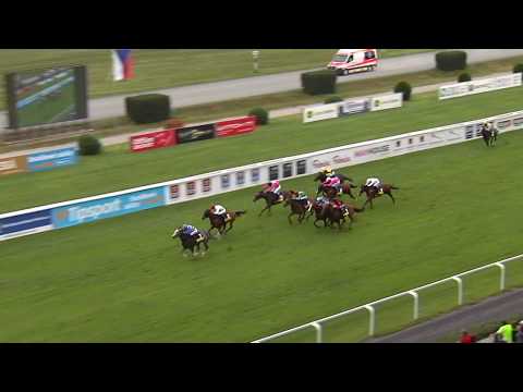 5. dostih - Velká cena Prahy CK Martin Tour - dostihy Velká Chuchle 8. 9. 2019