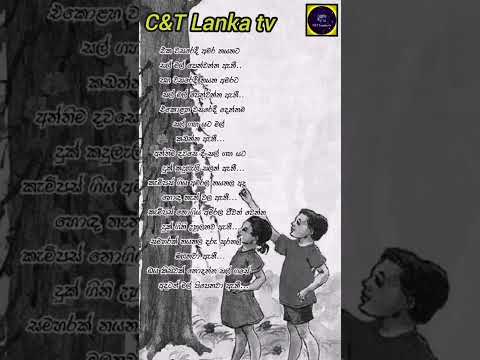 ❤️❤️අමර නයනා 💘💘 පෙම් පුවත ❤️❤️😥😥