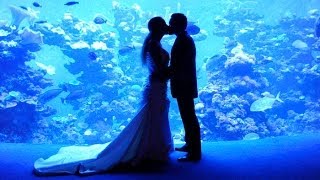 Eres Todo Para Mi ♥ Ana Gabriel [VIDEO],ᶫᵒᵛᵉᵧₒᵤ♥