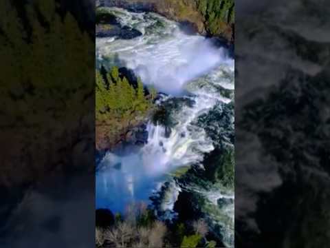 🎵 Native American Flute 🎵 Soul Soothing 🎵 Meditation Find Inner Peace with Soft Melodies